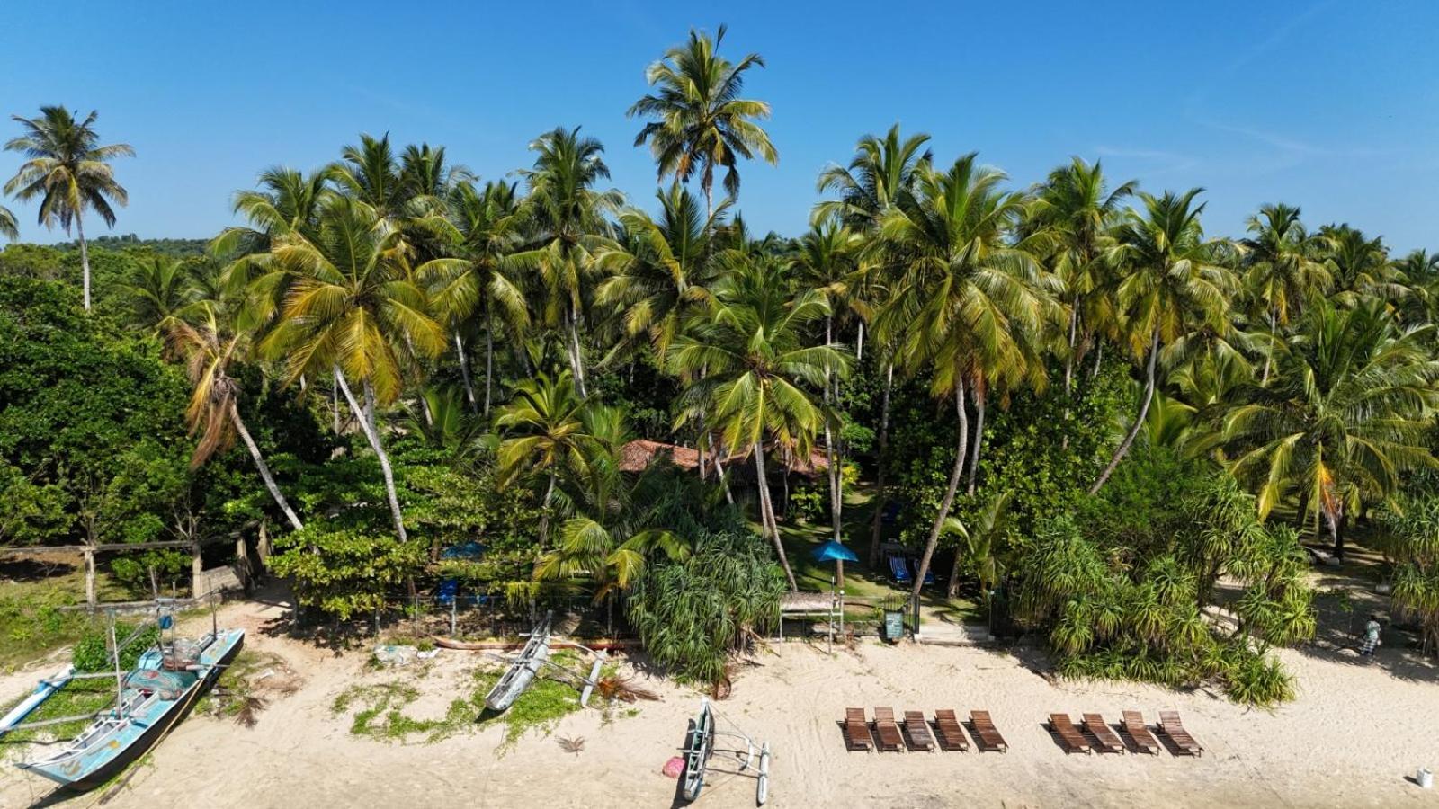 Esperanza Beach Mawella Hotell Tangalle Exteriör bild