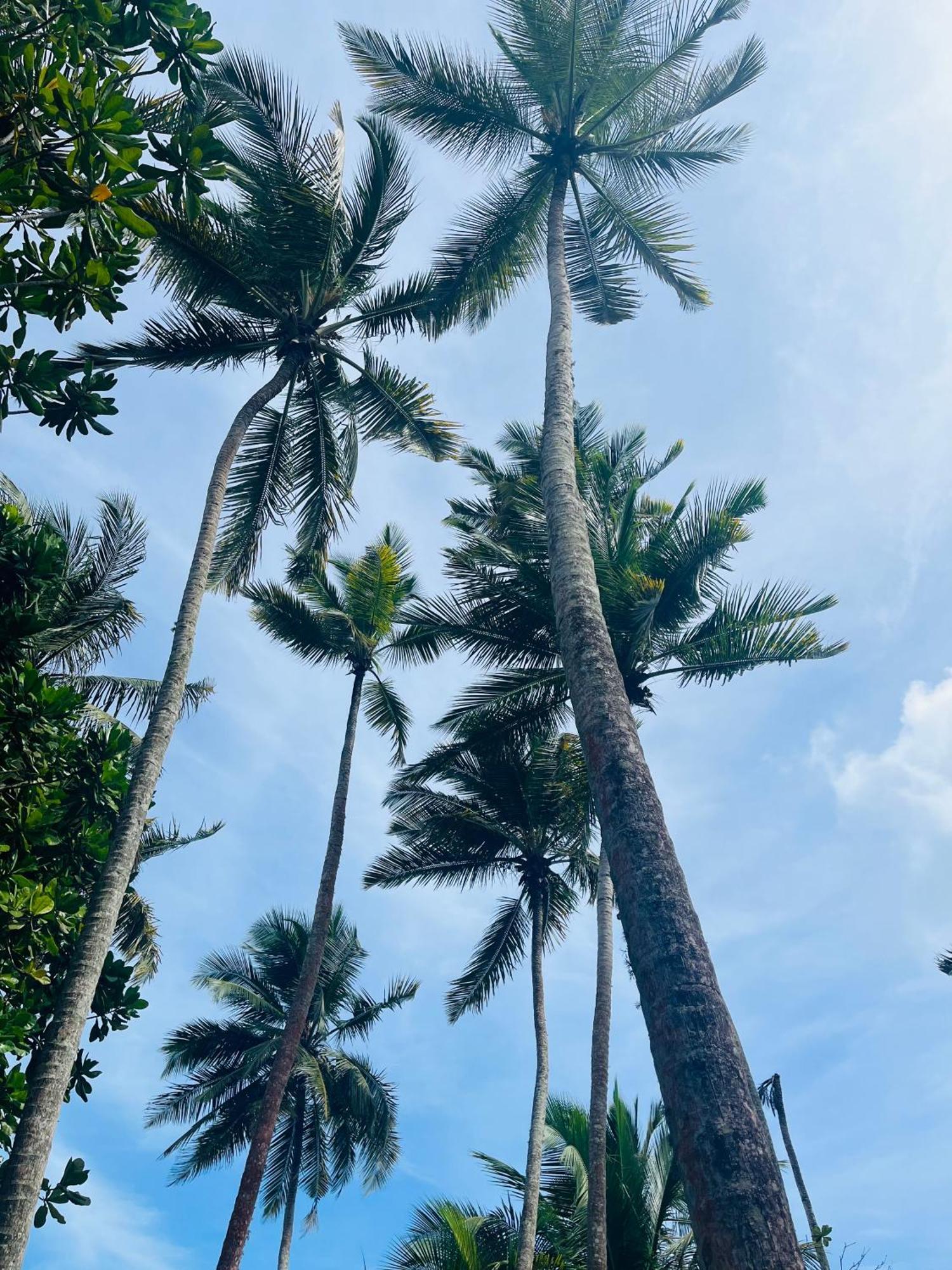 Esperanza Beach Mawella Hotell Tangalle Exteriör bild